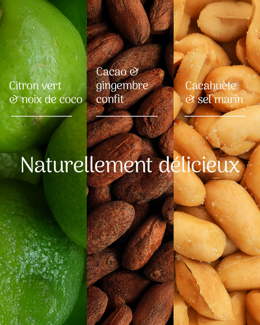 PACK MIX PROTÉINES CRUNCH BARRES