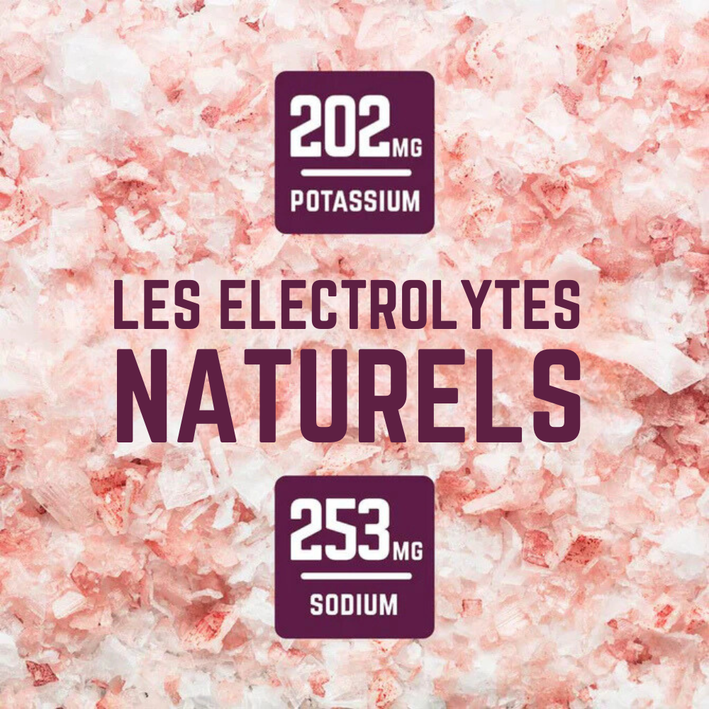 PROTEINES VITA DLC COURTE