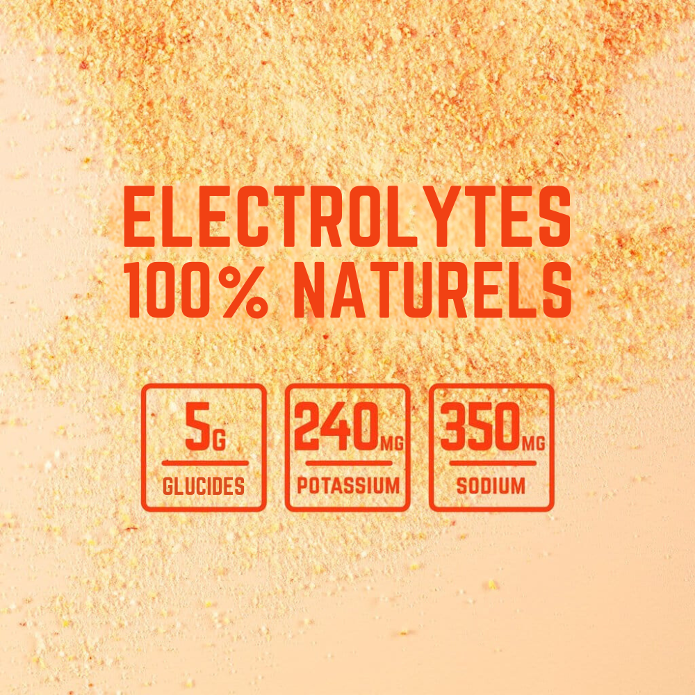 ELECTROLYTES SOLO DLC COURTE