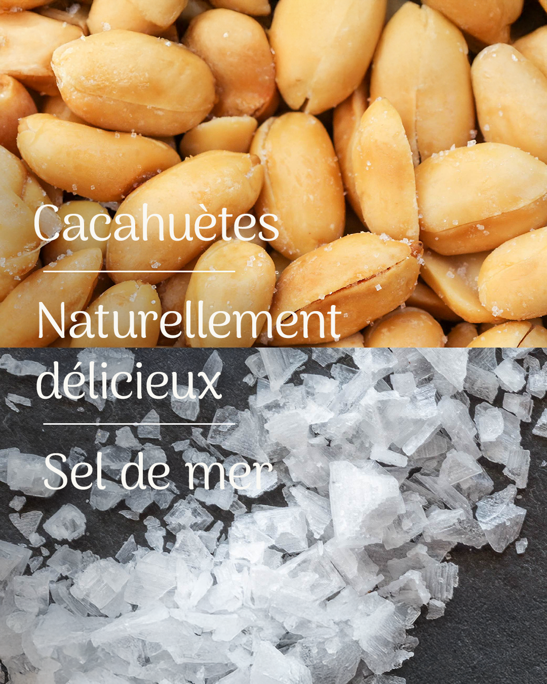 PROTÉINES CRUNCH BARRE CACAHUÈTE SEL DE MER
